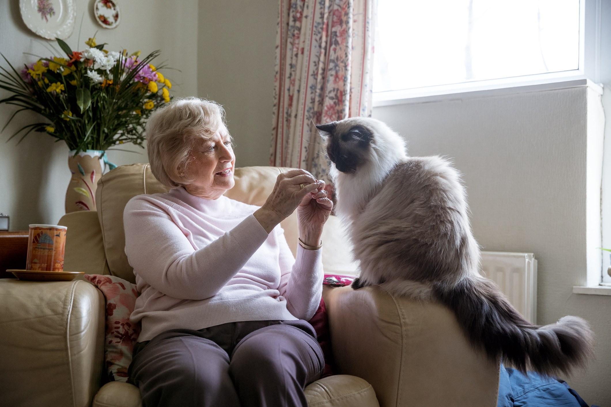 old lady bringing a new cat home