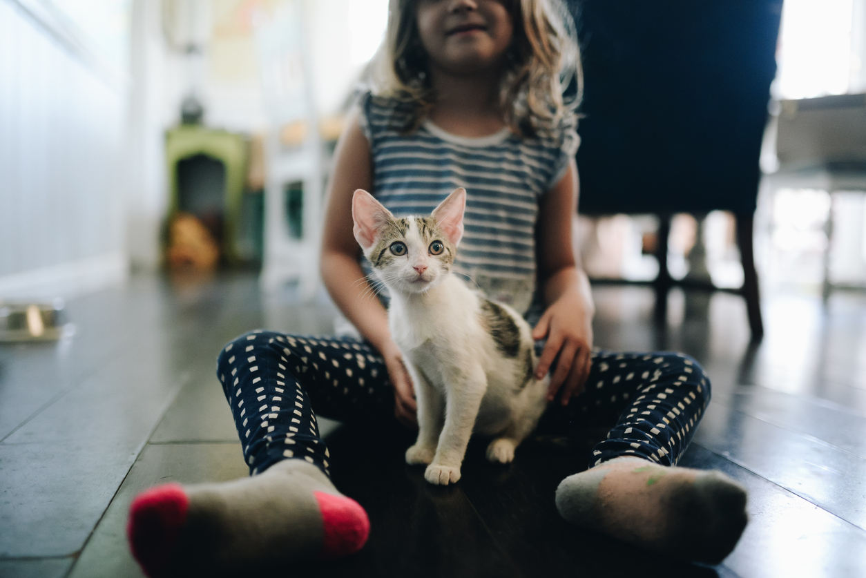 Little girl playing with new kitten.