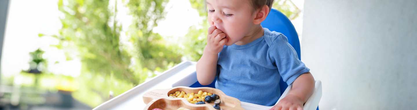 Baby boy in a high chair eats lunch of berries.