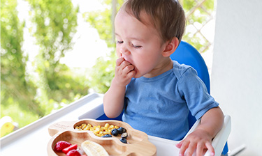 Baby boy in a high chair eats lunch of berries.